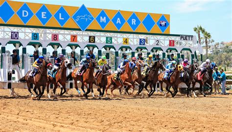 del mar betting calculator|betting at del mar racetrack.